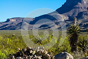 Oliver Lee State Park in southern New Mexico