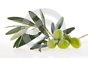 Olives