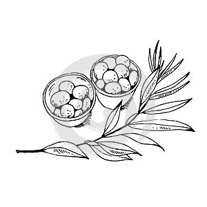 Olives in a bowl and olive branch isolated on a white background