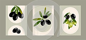 Olives Compositions Set