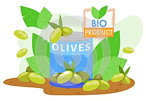 Olives farm agriculture product vector illustration, cartoon flat farmed green olive fruits in can with fresh olive tree