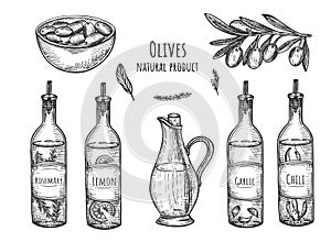 Olives fruit and branch, oil bottle sketches set