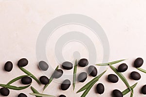 Olives and leaves on white background. Vertical orientation