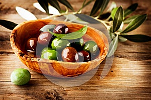 Olives and Olive Oil