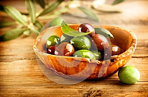 Olives and Olive Oil