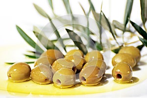 Olives and Olive Oil on plate
