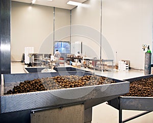 Olives in a processing machine