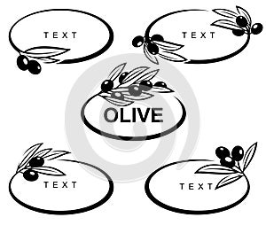 Olives set. Collection olives leaves frame. Vector