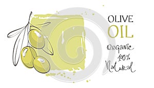 Olives -- set a design elements.