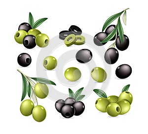 Olives set. Green and black fresh, pitted, slices and whole olive berries on branch isolated