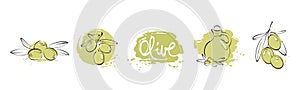 Olives -- set vector design elements