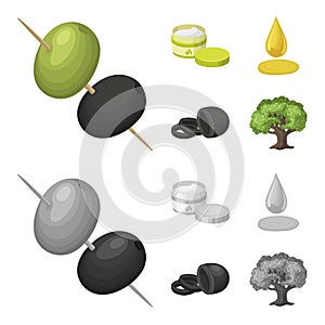 Olives on skewers. A piece of black olives, a jar of cream, a drop of oil. Olives set collection icons in cartoon
