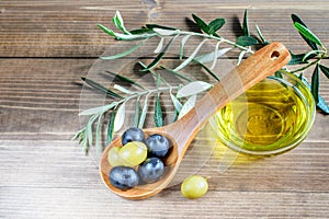 Olives in wooden spoon and olive oil in the glass bowl on the wooden background. Healthy diet food concept