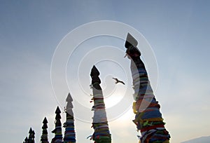 Olkhon Island. Cape Burhan. A seagull in flight.