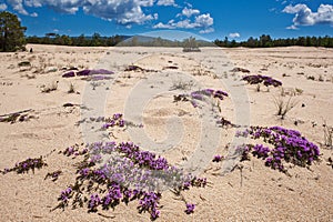 Olkhon Island, Lake Baikal