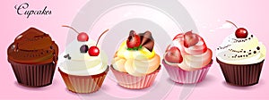 Ð¡ollection of assorted cupcakes. Chocolate, berries, cream and more
