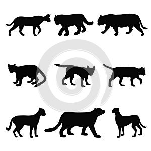 ollection of cat family black silhouettes, felines simple shapes set