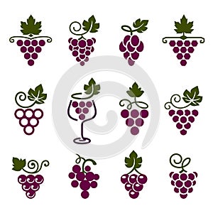 Ð¡ollection of grapes decorative pattern.
