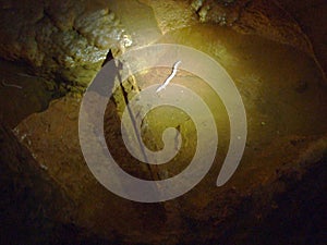 The Olm or Proteus Proteus anguinus, Der Grottenolm or Covjecja ribica - The Grotta Baredine or Baredine cave, Istria