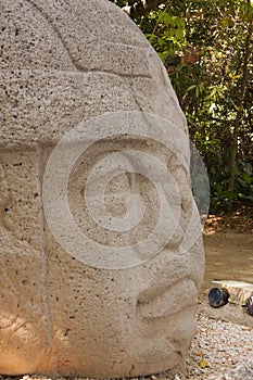 Olmec a culture La Venta Villahermosa Tabasco Mexico archaeology