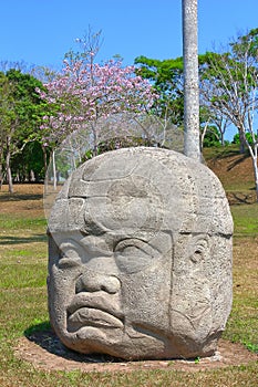 Olmec head, ancient art in tabasco, mexico III