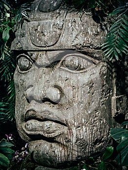 Olmec sculpture carved from stone. Big stone head statue in a jungle