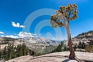 Olmsted point Yosemite