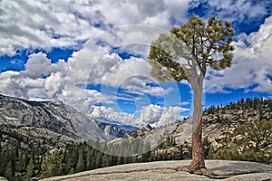 Olmsted Point Yosemite National Park California photo