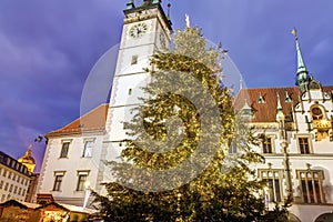 Olomouc town hall with a large christmas tree in front of it
