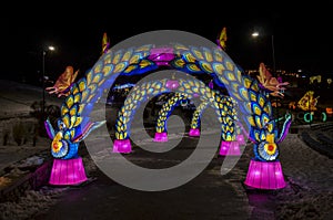 ?olor installation is enhanced with bright colors, each side of which is decorated with light elements