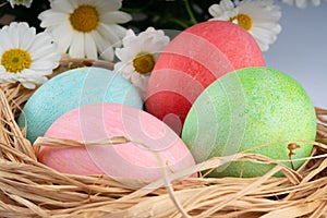 Easter and colored eggs