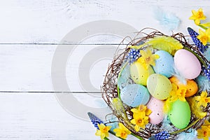 Ð¡olorful Easter eggs in nest, feather and spring flowers on white table top view. Holiday card or banner