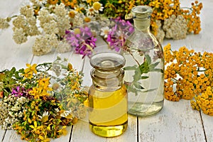 Ð¡olorful herbs on a white background with bottles of oil and tinctures.