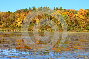 Olson Lake Northern Illinois photo