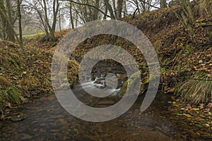 Olsovy creek near Petrovice village in Krusne mountains in autumn morning