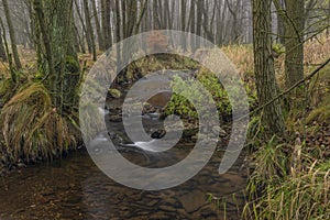 Olsovy creek near Petrovice village in Krusne mountains in autumn morning