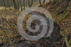 Olsovy creek near Petrovice village in Krusne mountains in autumn morning