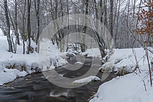 Olsovy creek near Petrovice village in Krusne mountains in winter cold morning