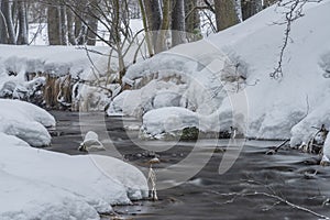 Olsovy creek near Petrovice village in Krusne mountains in winter cold morning