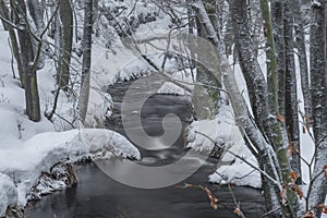 Olsovy creek near Petrovice village in Krusne mountains in winter cold morning