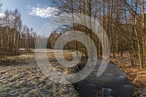 Olsovy creek near Rajec village in cold spring morning