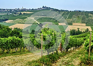 Oltrepo Piacentino Italy, rural landscape at summer