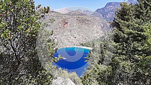 Oludeniz beach Turkey see tree