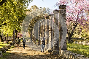 Palaestra at Olympia, Greece