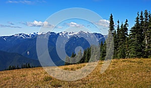 Olympic Mountain panorama