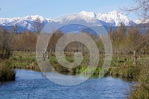 Olympic mountains/Hood canal