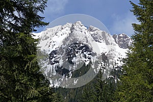 Olympic mountains with snow