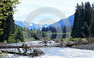 Olympic Mountains in summer as seen from over the Hoh River