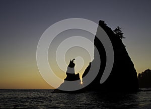 Olympic National Park beach sunset