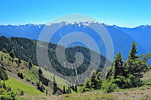 Olympic National Park with Mountains from Hurricane Ridge, Pacific Northwest, Washington State